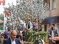 SfilataSagre_006