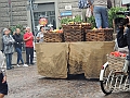 SfilataSagre_025