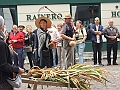 SfilataSagre_236