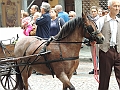 SfilataSagre_246