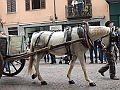 SfilataSagre_327
