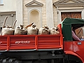 SfilataSagre_376
