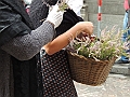 SfilataSagre_398