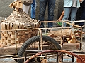 SfilataSagre_399