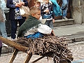 SfilataSagre_410