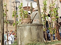 SfilataSagre_414