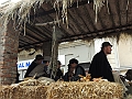 SfilataSagre_450