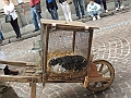 SfilataSagre_476