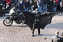 VBS_4188