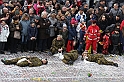 VBS_4497