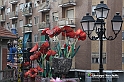VBS_4624