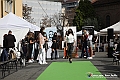 VBS_6639