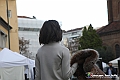 VBS_7527
