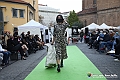 VBS_8176