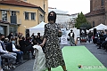 VBS_8178