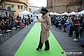 VBS_8459