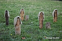 VBS_1477