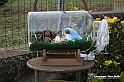 VBS_9439