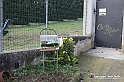 VBS_9445