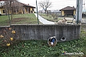 VBS_9452