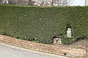 VBS_9466
