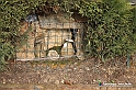 VBS_9467