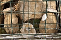 VBS_9470