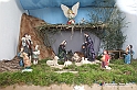 VBS_9502