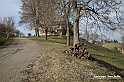VBS_9517
