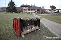 VBS_9551