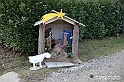 VBS_9574
