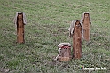 VBS_9577