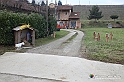 VBS_9584