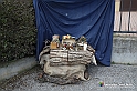 VBS_9615