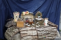 VBS_9628