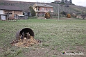 VBS_9652