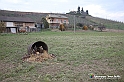 VBS_9654