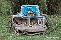 VBS_9681