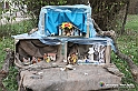 VBS_9687