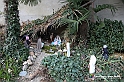 VBS_9693