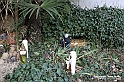 VBS_9697