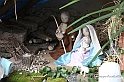 VBS_9711