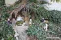VBS_9726