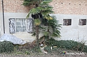 VBS_9729