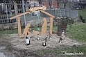 VBS_9734