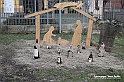 VBS_9737