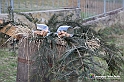 VBS_9742