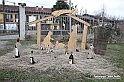 VBS_9744