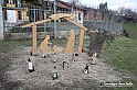VBS_9749