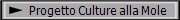 Progetto Culture alla Mole